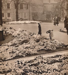 Kuningas Yrjö V:n valtion hautajaiset Windsorissa: muistoseppeleet, 1936 tekijältä Unbekannt