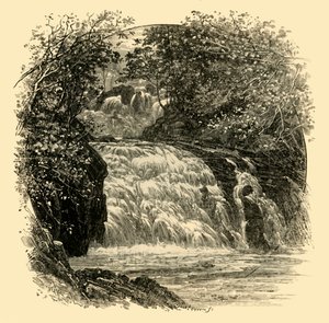 Swallow Falls, 1898. tekijältä Unbekannt