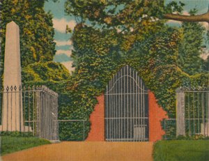 Hauta, 1946 tekijältä Unbekannt