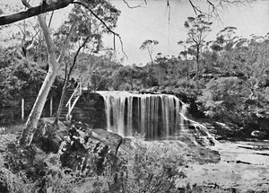 Weeping Rock Wentworth Fallsissa, Blue Mountainsissa, 1900. tekijältä Unbekannt