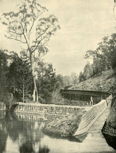 The Weir and Fluming, Kirks Reservoir, 1901. tekijältä Unbekannt