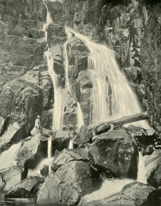 Wellington Falls, Mount Wellington, 1901. tekijältä Unbekannt