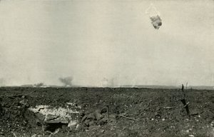 Villakarhu, 1919. tekijältä Unbekannt