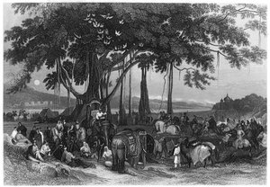 Epäsäännöllisen sikhien ratsuväen joukkojen saapuminen Intiaan vuonna 1860 tekijältä Unbekannt