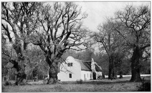 Kellari Vergelegenin viinitilalla Etelä-Afrikassa, 1931 tekijältä Unbekannt