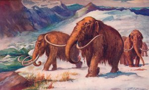 Varhainen jääkausi, jolloin mammutit vaelsivat maan päällä ja ihminen oli nousemassa, 1907 tekijältä Unbekannt