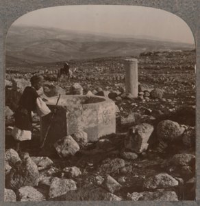 Tekoan rauniot, 1900 tekijältä Unbekannt