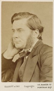 Thomas Henry Huxley, brittiläinen biologi, 1865-1886 tekijältä Unbekannt