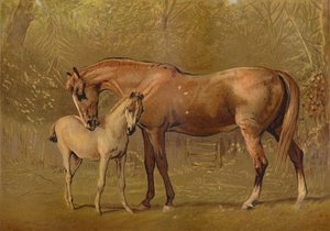 Täysverinen tamma ja varsa, s. 1879. tekijältä Unbekannt