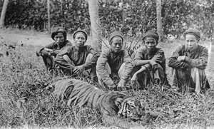 Tiikerinmetsästäjät, Tonkin, Vietnam, 1900-luku tekijältä Unbekannt
