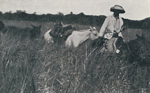 Matka pampoilla, 1916 tekijältä Unbekannt