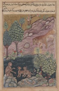 Tuti-Nama Tales of a papukaija: Tarina XXIX, Leijona palaa alueelleen ja nähdä, c. 1560. tekijältä Unbekannt