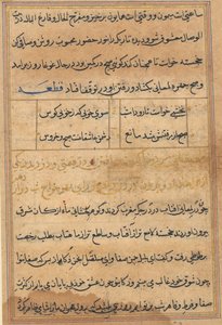 Tuti-Nama Tales of a papukaija, n. 1560. tekijältä Unbekannt