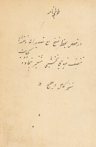 Tuti-Nama Tales of a papukaija, n. 1560. tekijältä Unbekannt