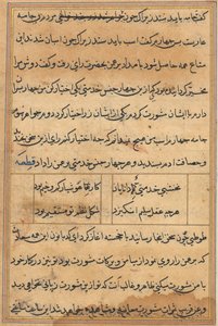 Tuti-Nama Tales of a papukaija, n. 1560. tekijältä Unbekannt