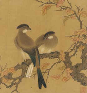Kaksi harjalintua oksalla, syksyn lehdet, Qing-dynastia, 1700-luku. tekijältä Unbekannt