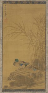 Kaksi ankkaa ruokojen keskellä veden äärellä, Ming- tai Qing-dynastia, 1400-1700-luku. tekijältä Unbekannt