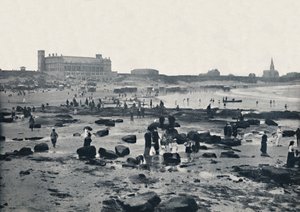 Tynemouth - The Aquarium and Sands, 1895 tekijältä Unbekannt