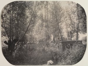 Nimetön Maisema koiran kanssa, c. 1910. tekijältä Unbekannt