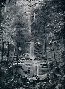 Valley of the Waters, Blue Mountains, c1900. tekijältä Unbekannt