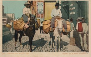 Kasvismiehet, Havanna, Kuuba, 1904 tekijältä Unbekannt