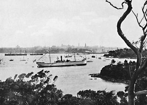 Näkymä Sydneyn satamaan North Shoresta, nro 2, c1900. tekijältä Unbekannt