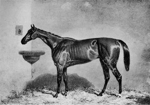 Virago, 1851-1869, 1911 tekijältä Unbekannt