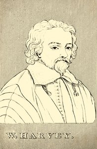W. Harvey, 1578-1657, 1830. tekijältä Unbekannt