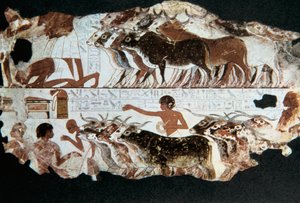 Seinämaalaus Nebarununin haudasta, Thebes, Egypti, n. 1350 eaa tekijältä Unbekannt