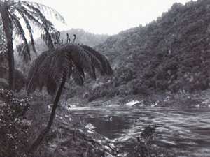 Wanganui-joki, 1800-luvun loppu - 1900-luvun alku. tekijältä Unbekannt
