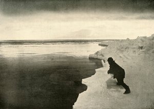 Hylkeiden katselu jääreunassa, c1908, 1909. tekijältä Unbekannt