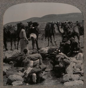 Kameleiden kastelua Jacobs Wellissä, c1900 tekijältä Unbekannt