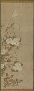 Valkoiset krysanteemit ja ruohot, Edo-kausi, 1615-1868. tekijältä Unbekannt