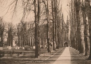 Winchesterin katedraali ja Avenue, Hampshire, 1900-luvun alku. tekijältä Unbekannt