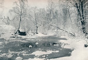 Talvinäkymä Skansenin ulkoilmamuseoon, c1900 tekijältä Unbekannt