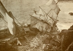 Haaksirikkoutunut liskolla, vuodelta 1930. tekijältä Unbekannt