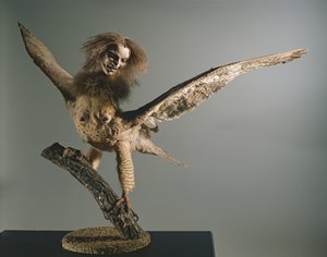 Harpy tekijältä Unbekannt Unbekannt