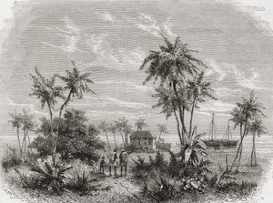 David Livingstonen talo Sansibarissa, Tunisiassa, Itä-Afrikassa, kuvitus teoksesta "The World in the Hands", kaiverrettu Henri Theophile Hildibrand (1824-97), julkaistu 1878 tekijältä Unbekannt Unbekannt