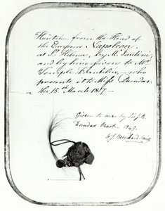 Giovanni Natale Santinin leikkaat hiukset keisari Napoleonin päästä ja lahjoitti hän William Temple Franklinille, 1816 (hiukset) tekijältä Unbekannt Unbekannt