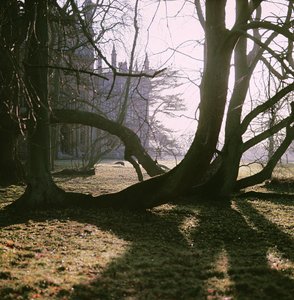 Näkymä pohjoisrintamalle, Corsham Court, Wiltshire tekijältä Unbekannt Unbekannt