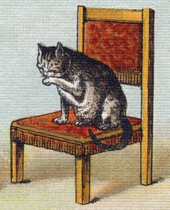 Kissa tuolilla. Kaiverrus "Alphabet de ma petite fille". Bernardin-Bechet ja Fils, kirjakauppias-kustantajat, Pariisi, noin 1895. Rikkoutumaton albumi kankaalle. Bibliotheque des Bebes. 12 sivua. Albumi, joka sisältää lukumenetelmän ja havainnollisen abece tekijältä Unbekannt
