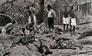 Hieno metsästyspäivä! 1900 (kaiverrus) tekijältä Unbekannter Künstler