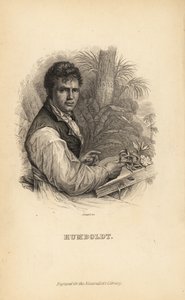 Alexander von Humboldt, saksalainen tutkimusmatkailija, luonnontieteilijä ja kasvitieteilijä tekijältä Unbekannt
