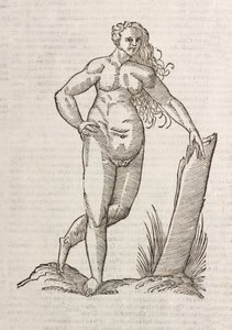 Androgynos tekijältä Unbekannt