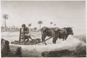Peltoviljely, sadonkorjuu Puimakone, Egypti, n. 1798 tekijältä Unbekannt
