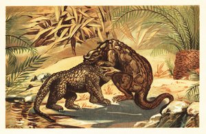 Taistelu Megalosaurus bucklandiin ja Iguanodon bernissar1908 välillä (litografia) tekijältä Unbekannter Künstler
