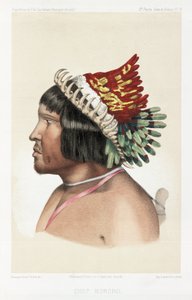 Bororon päällikkö, Etelä-Amerikka, n. 1843-1847 tekijältä Unbekannt