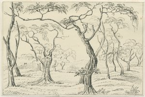 Cannock Chase: kynä- ja lyijykynäpiirustus, nd [?1800-luku] tekijältä Unbekannt