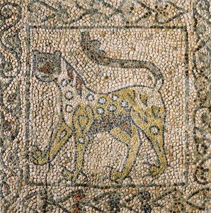 Pyhän Johanneksen evankelistan kirkko, neljäs ristiretki, täplikäs pantteria edustavat mosaiikkilattiat, Ravenna, Emilia-Romagna, Italia tekijältä William M. Timlin