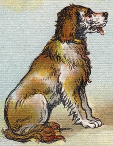 Koira. Kaiverrus "Alphabet de ma petite fille". Bernardin-Bechet ja Fils, kirjakauppias-kustantajat, Pariisi, noin 1895. Rikkoutumaton albumi kankaalle. Bibliotheque des Bebes. 12 sivua. Albumi, joka sisältää lukumenetelmän ja havainnollisen abeceedaryn. K tekijältä Unbekannt